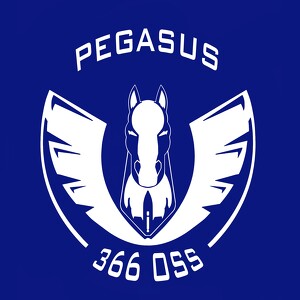 366 OSS